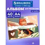 Альбом Brauberg А4 40 лист.
