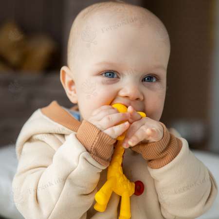 Прорезыватель FergoKids