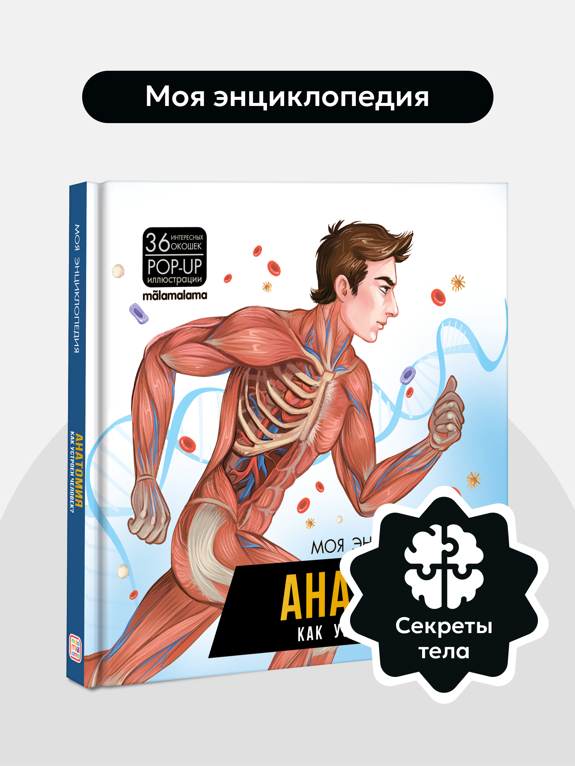 Книга Анатомия Как устроен человек? Malamalama Интерактивная Энциклопедия для детей с объемными картинками 3Д - фото 1