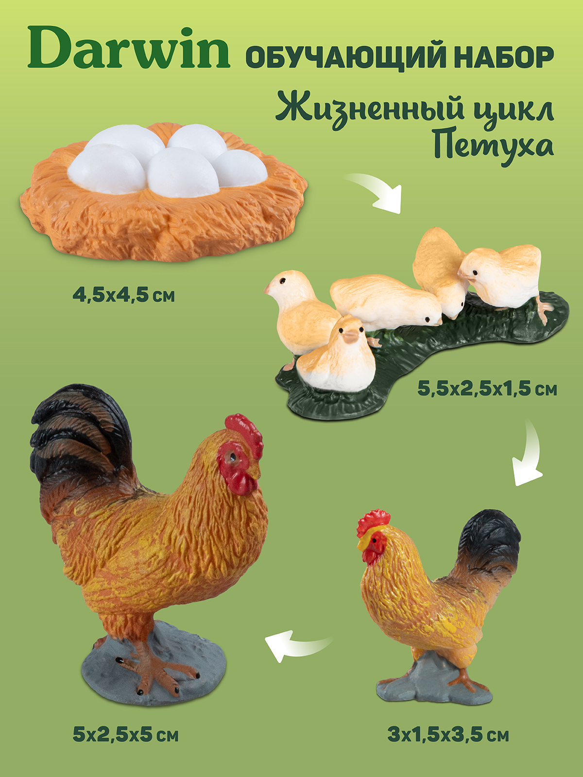 Игровой набор DARWIN Животные Петух - фото 3