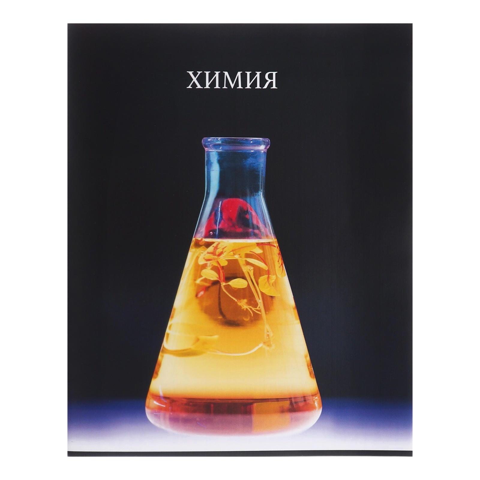 Тетрадь Calligrata - фото 12