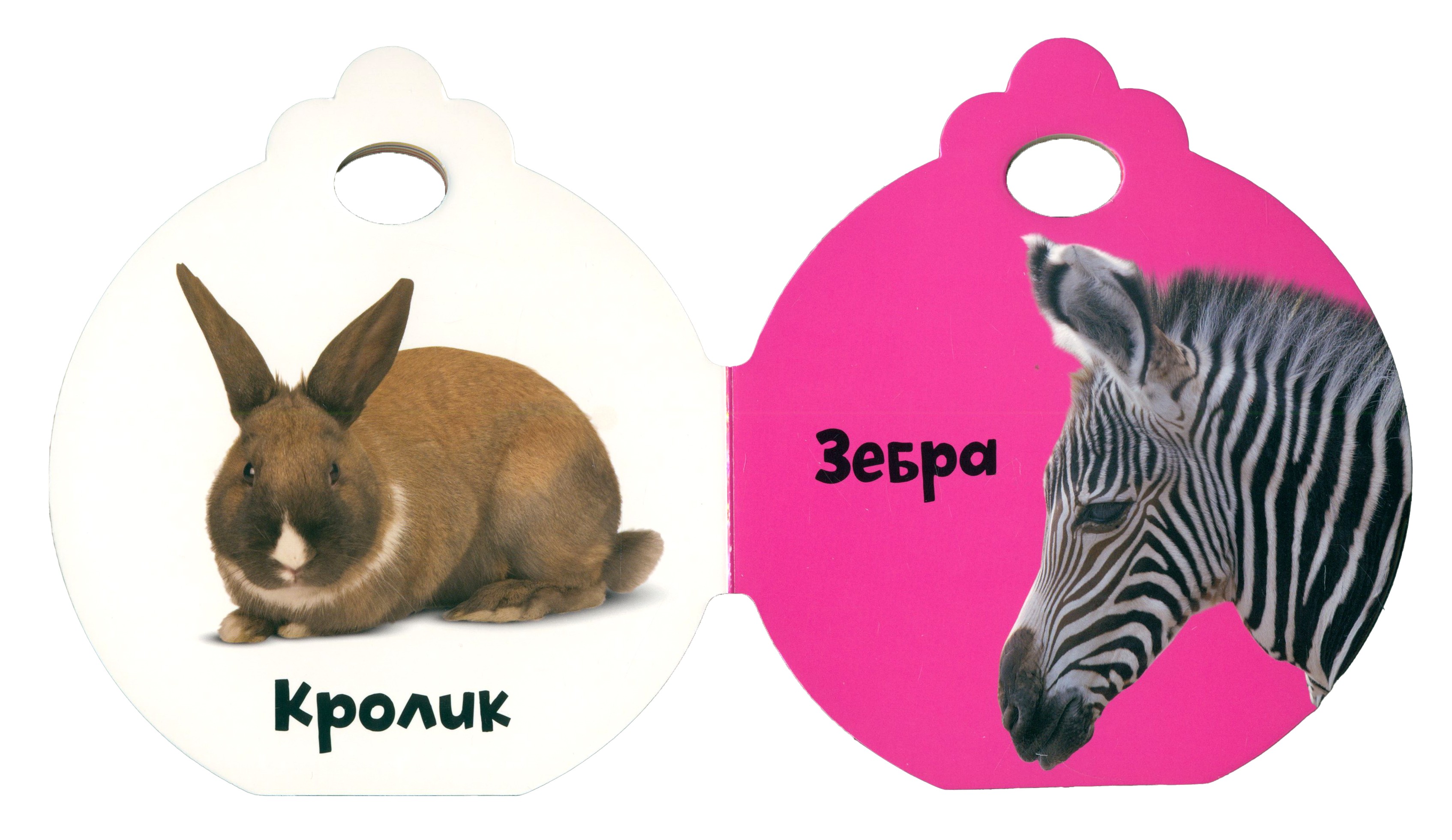 Книга Лабиринт Крошки-ладошки Животные - фото 4