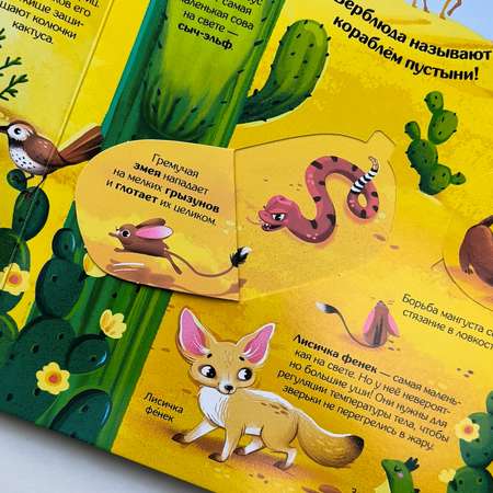 Книжка с окошками Мир Животных Malamalama Детская энциклопедия