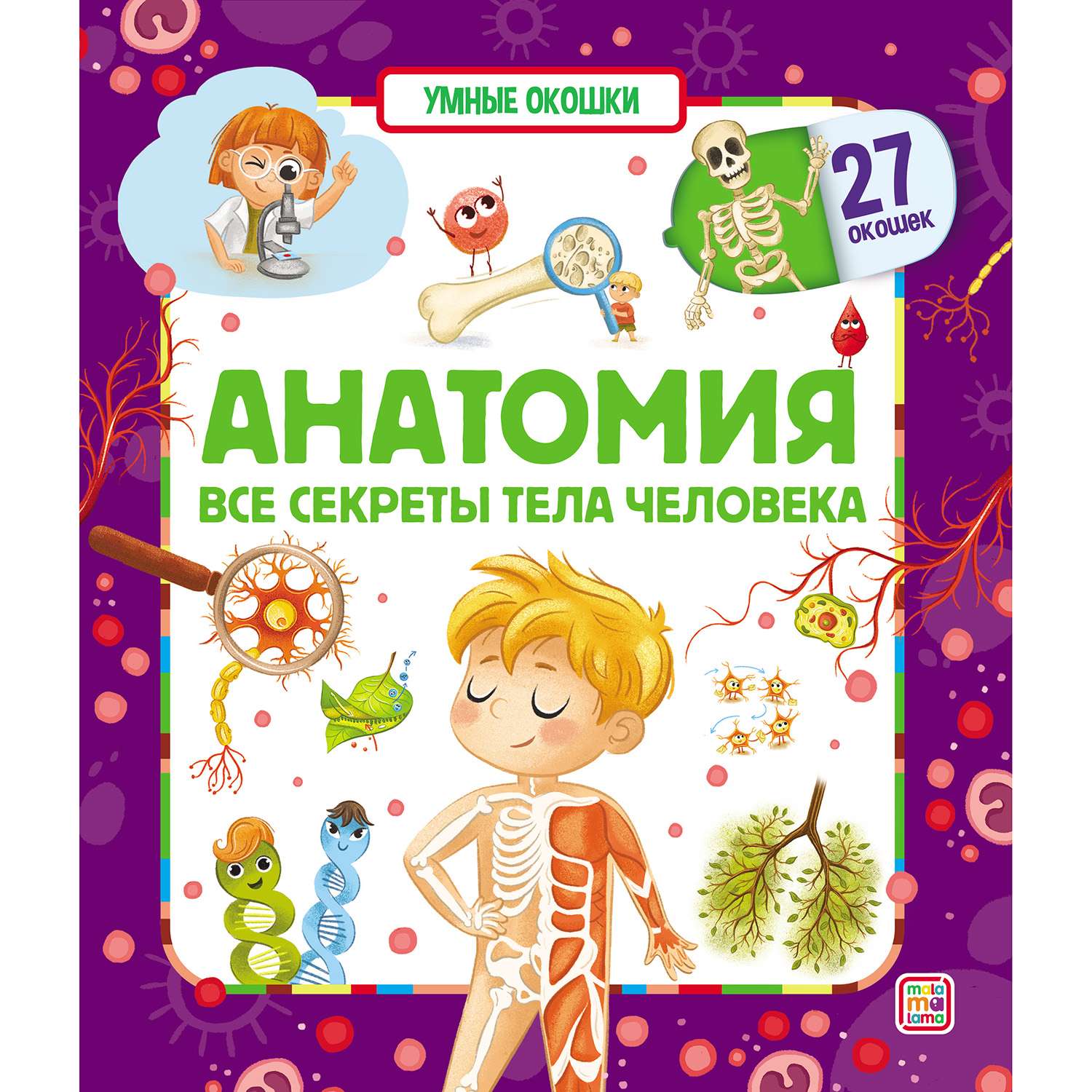 Книга Malamalama Умные окошки Анатомия - фото 1