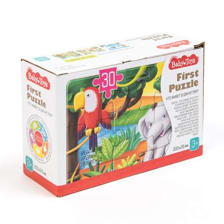 Пазл Baby Toys First Puzzle классический