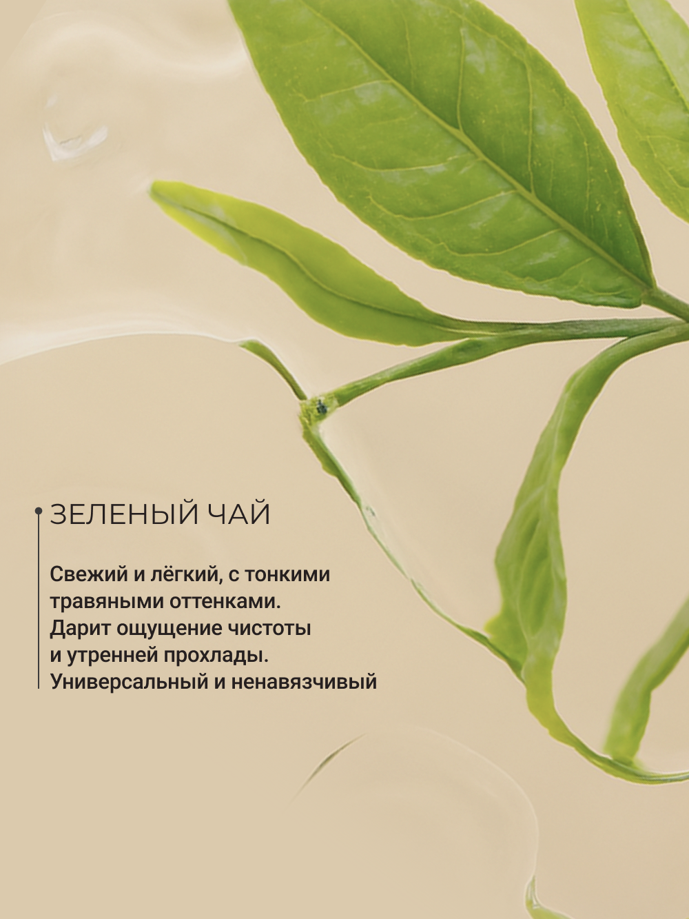 Дезодорант Zeitun Ритуал Чистоты натуральный минеральный шариковый аромат Зеленый чай 50 мл - фото 6