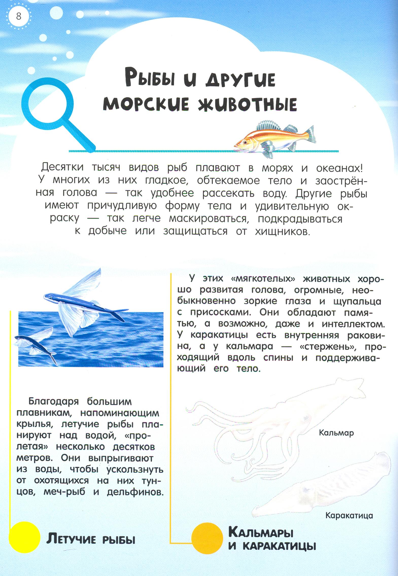 Книга Лабиринт Мой атлас с наклейками Моря и океаны - фото 5