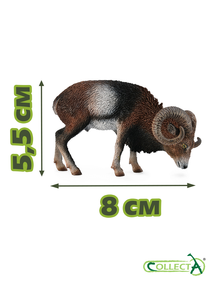 Фигурка Collecta Европейский муфлон - фото 2