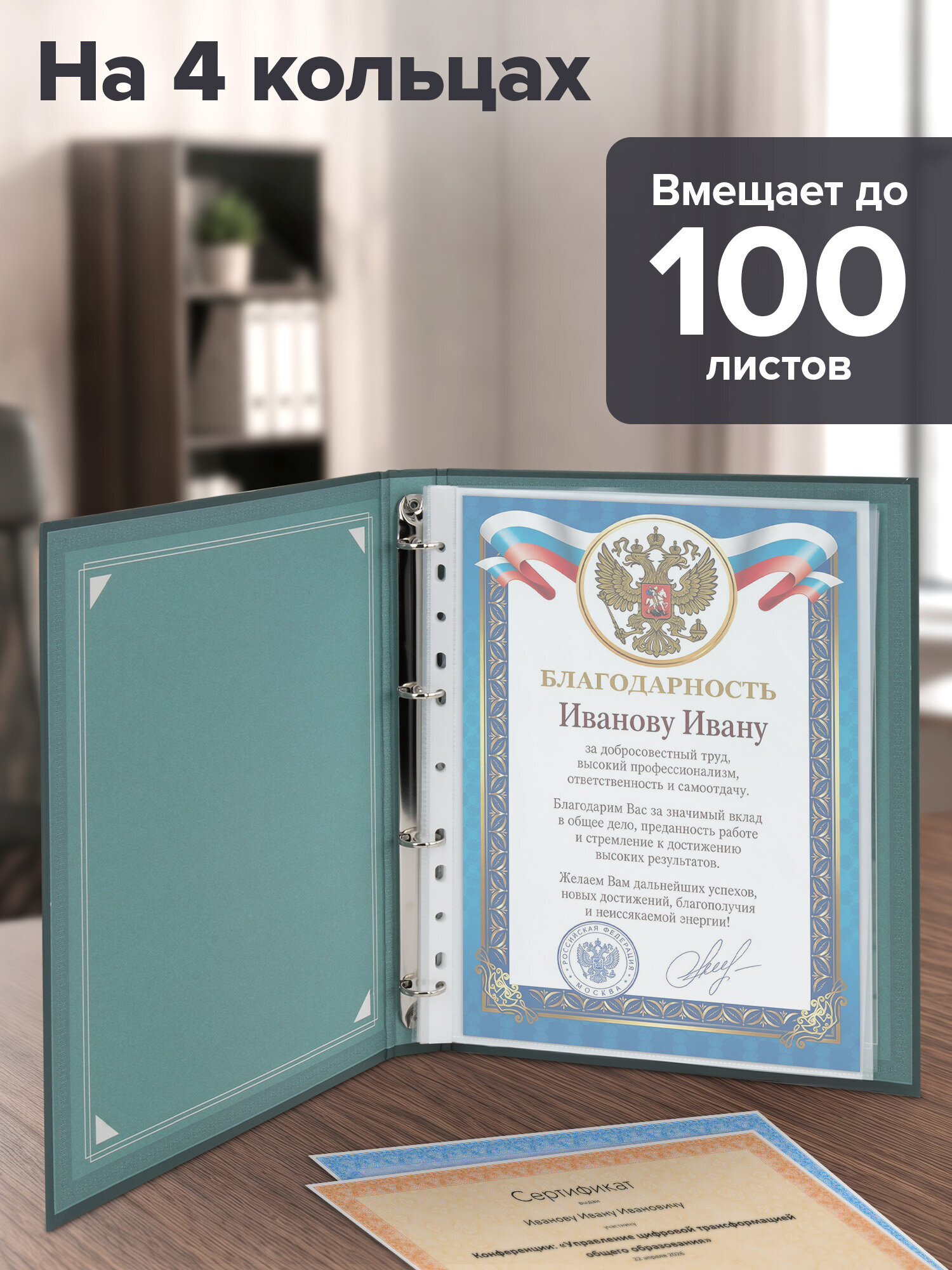Портфолио школьника Brauberg папка А4 на кольцах 20 файлов для девочки и мальчика - фото 2