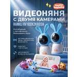 Видеоняня Ramili две камеры Малышарики Крошик