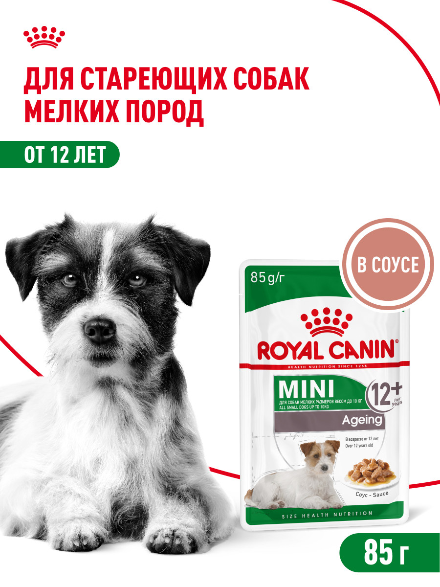 Корм для собак ROYAL CANIN Mini Ageing 12+ для стареющих собак мелких размеров 85г - фото 1