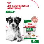Корм для собак ROYAL CANIN Mini Ageing 12+ для стареющих собак мелких размеров 85г