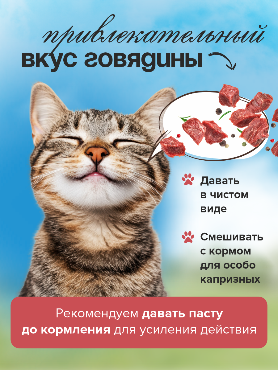 Паста для выведения шерсти у кошек GOODR Cat со вкусом говядины 75мл - фото 5