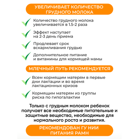 Смесь сухая Млечный путь молочная для кормящих женщин 200 г