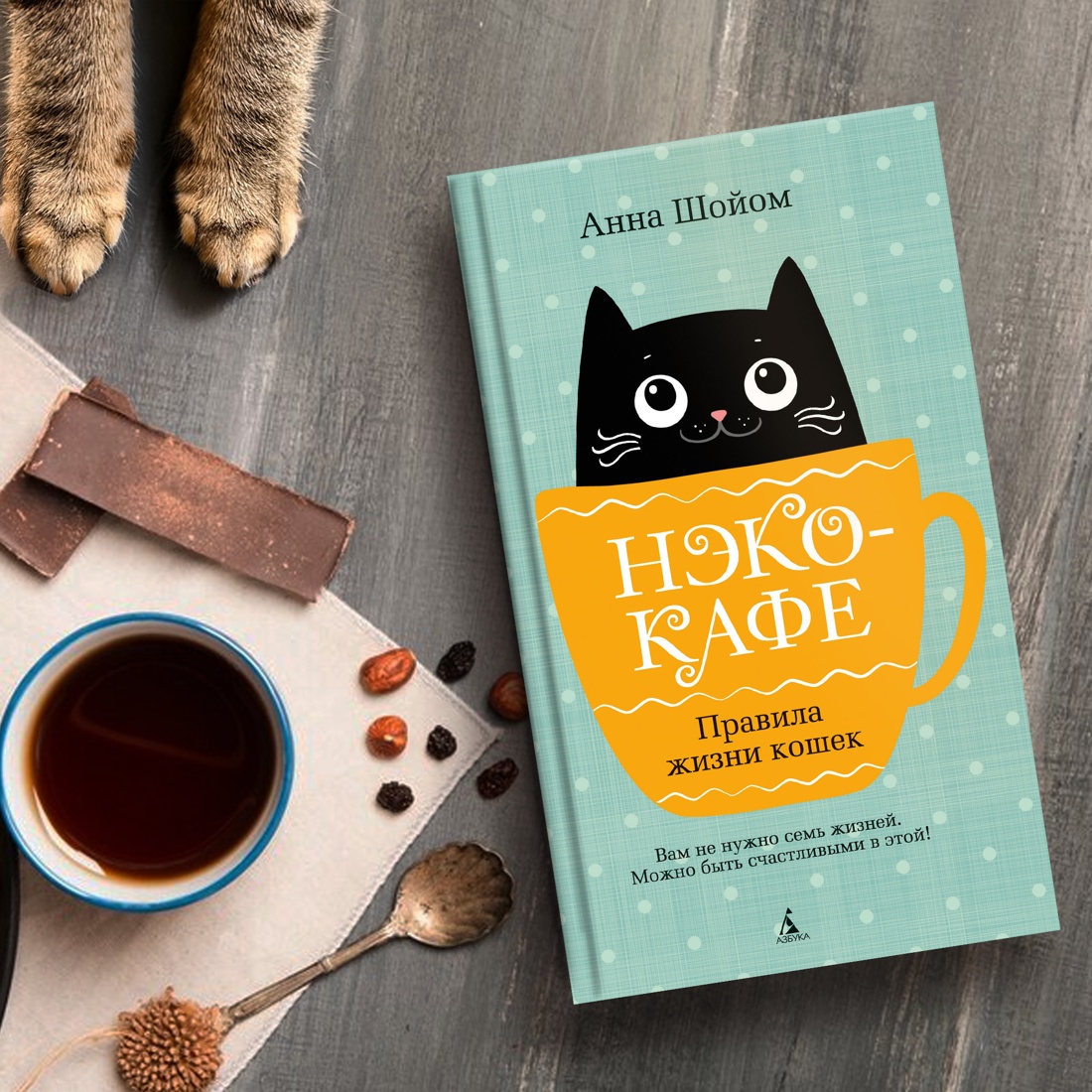 Книга АЗБУКА Анна Шойом. Нэко-кафе. Правила жизни кошек - фото 9