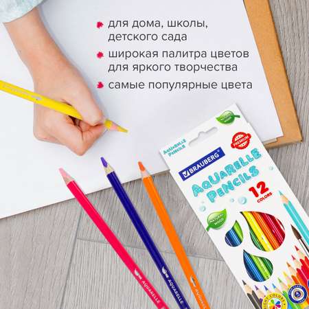 Карандаши акварельные Brauberg 12 шт.