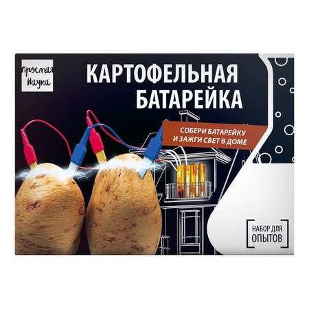 Набор для опытов Простая наука
