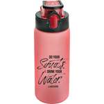 Бутылка deVENTE 550 мл