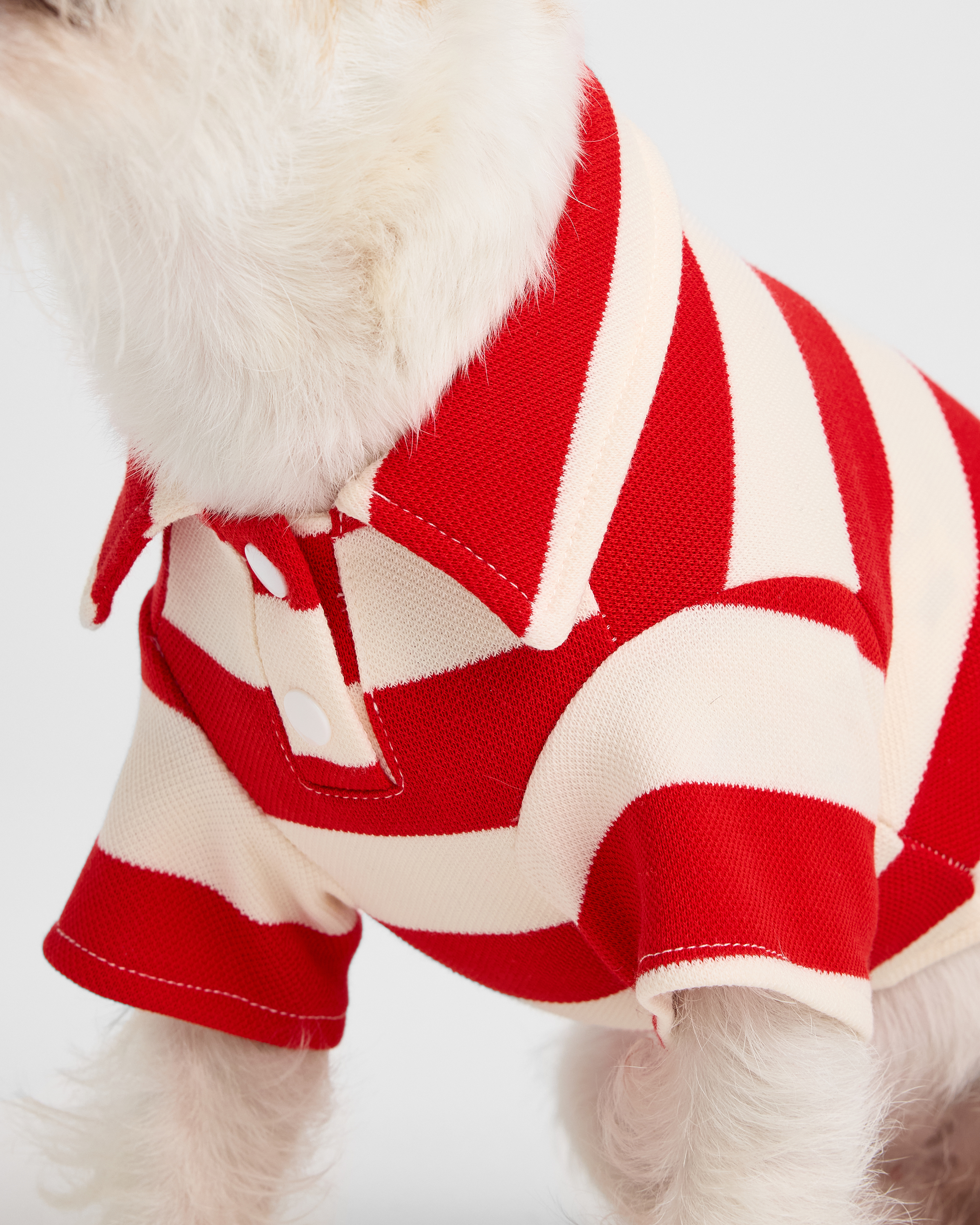 Поло для собак и кошек Зоозавр - фото 5