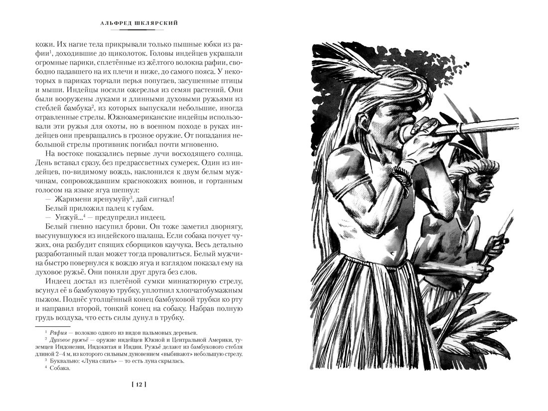 Книга АЗБУКА Томек у истоков Амазонки и другие удивительные приключения - фото 14