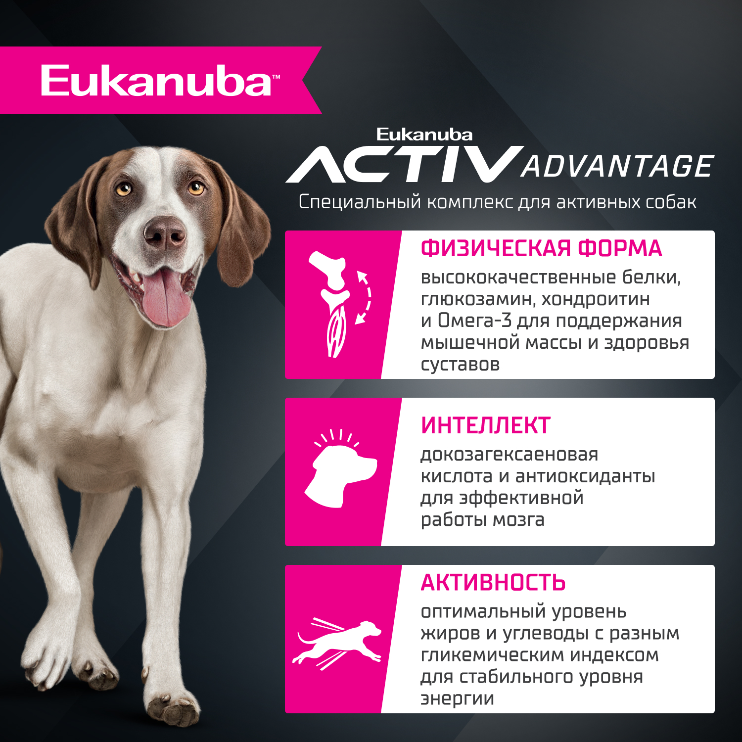 Корм для собак сухой для взрослых собак Eukanuba крупных и очень крупных пород старше 1 года с ягненком 12кг - фото 2