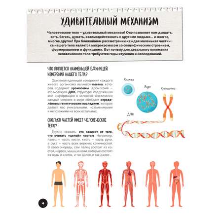 Книга Эксмо Что? Как? Почему? Мои первые знания про ТЕЛО ЧЕЛОВЕКА (с постером)