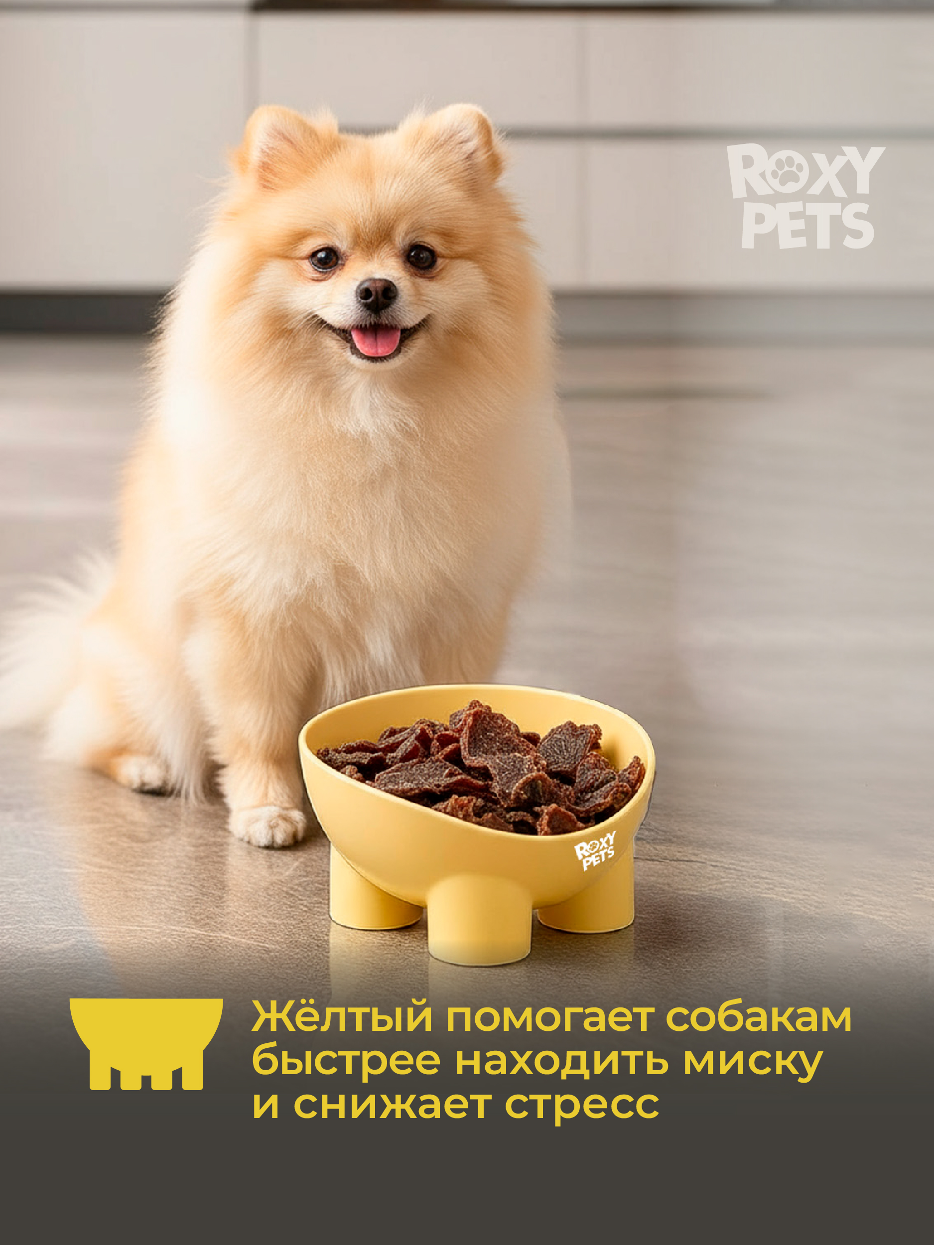 Миска для кошек и собак ROXY PETS 300мл - фото 6