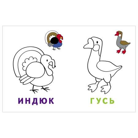 Раскраска-читалка Росмэн Домашние животные