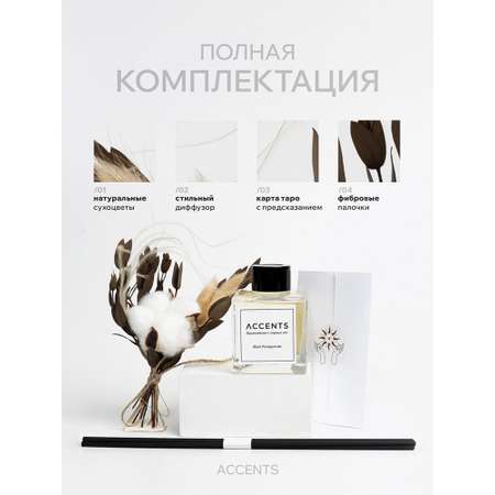 Диффузор с сухоцветами в Премиум тубусе Accents Black Pomegranate