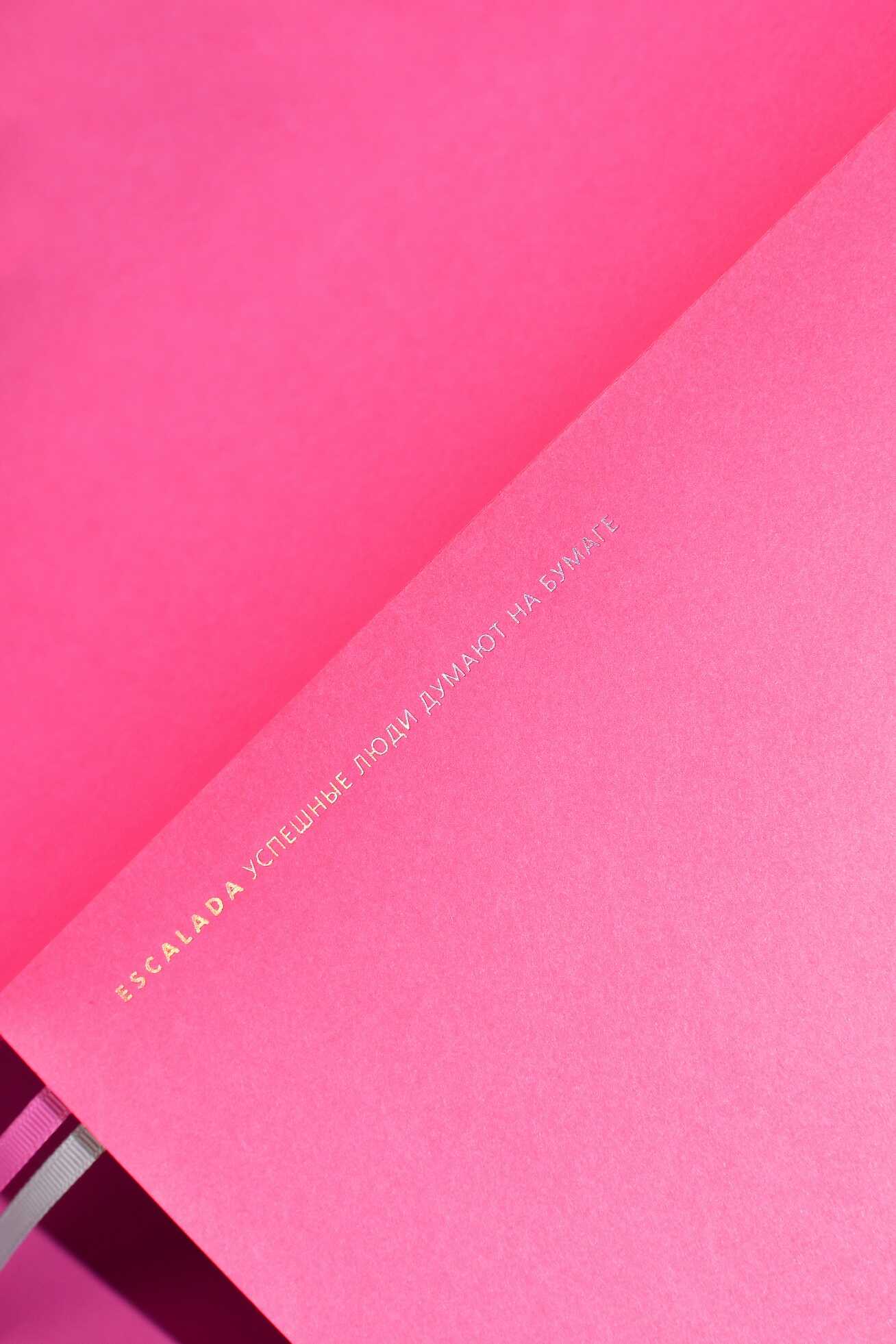 Ежедневник Феникс + ESCALADA 120 лист. - фото 11