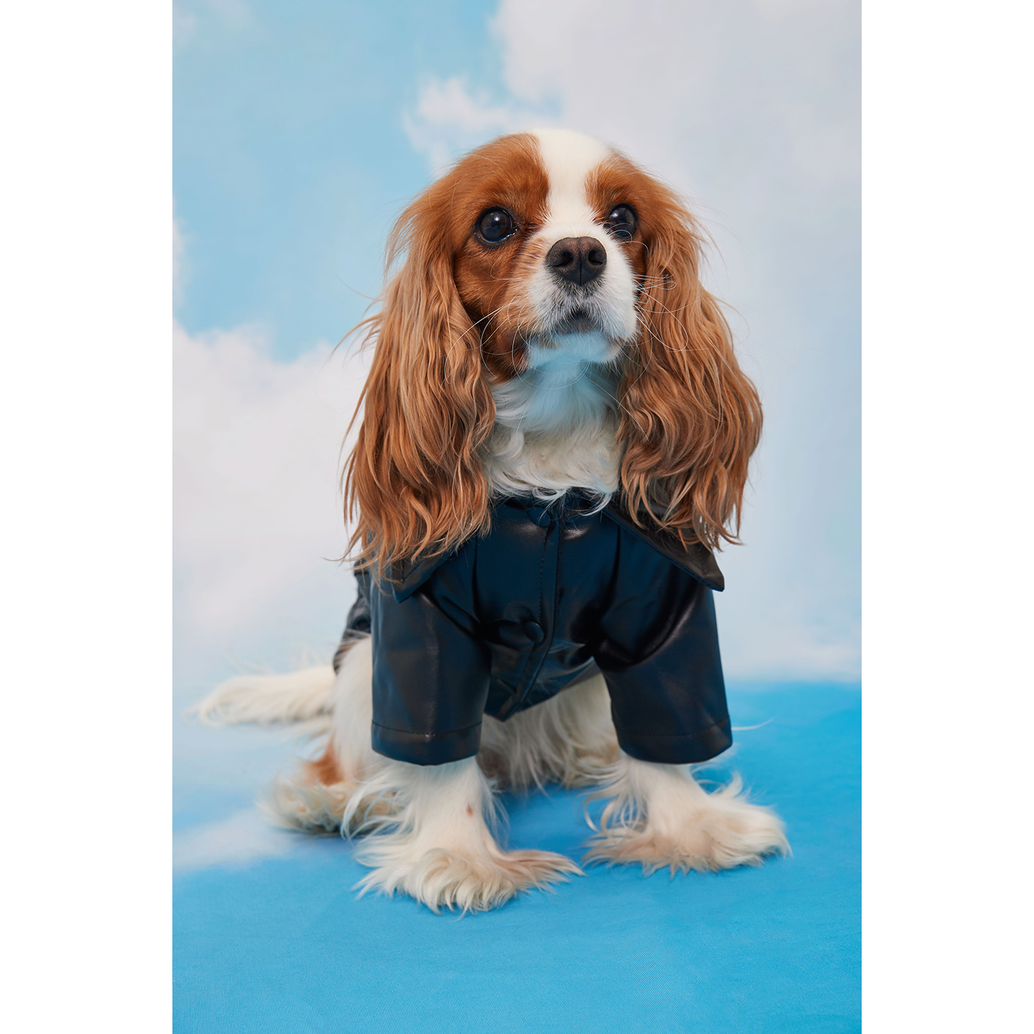 Куртка для собак Зоозавр черная 25 - фото 9