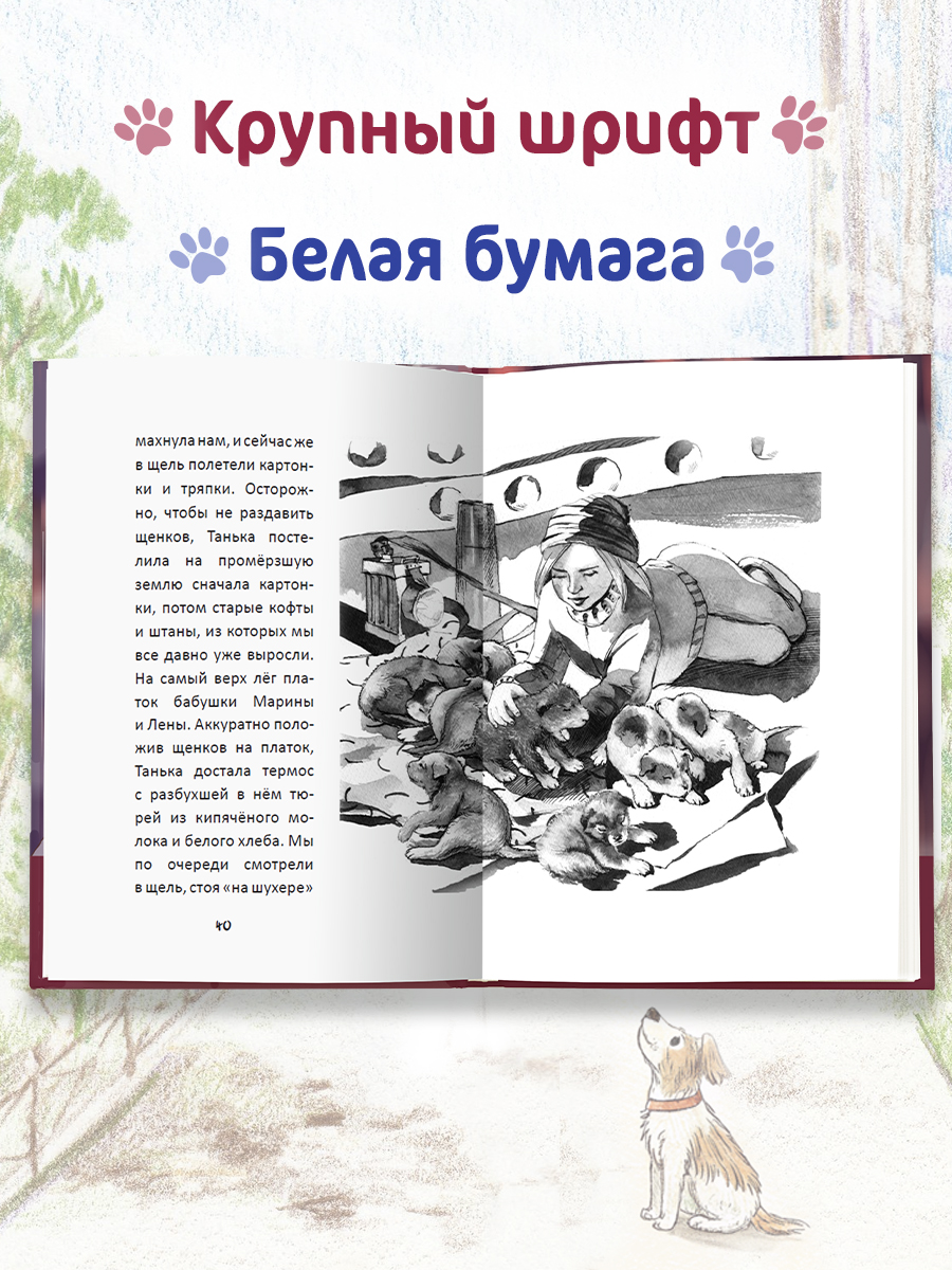 Книга Проф-Пресс детская проза 6+ Я тебя не брошу. Собаки нашего двора. К. Коскина. 112 стр - фото 5