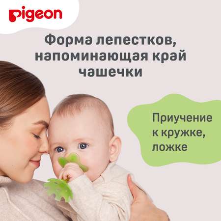 Прорезыватель Pigeon