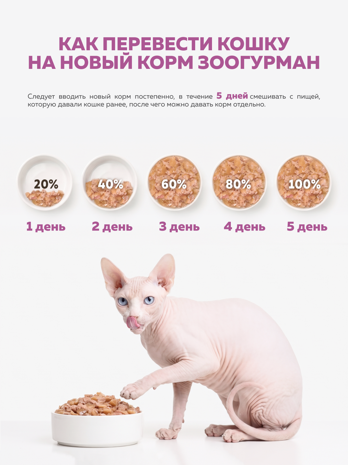 Влажный корм для кошек Зоогурман Индейка 100г х 6шт - фото 4