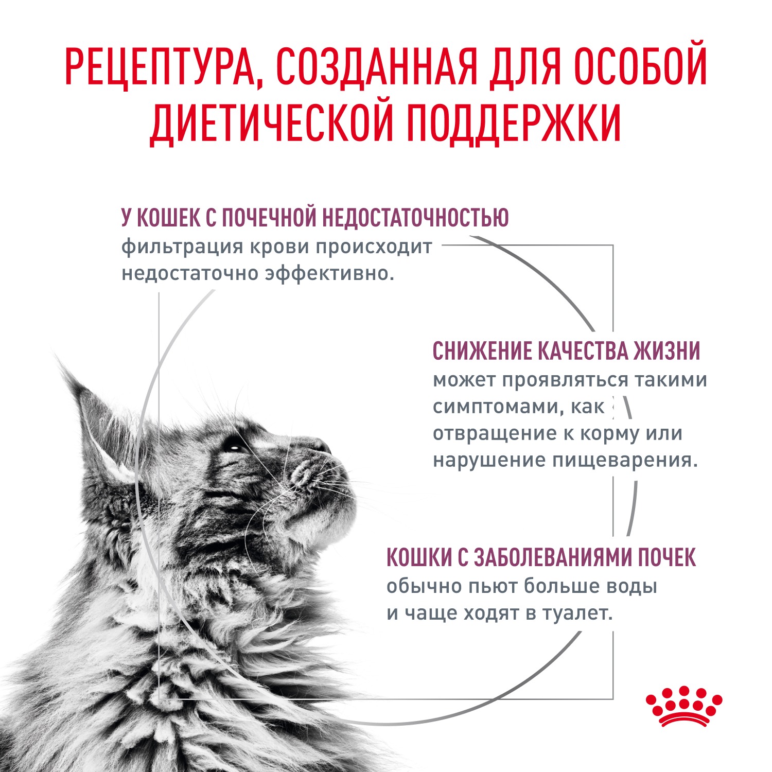 Корм для кошек ROYAL CANIN 0.35кг Renal - фото 3