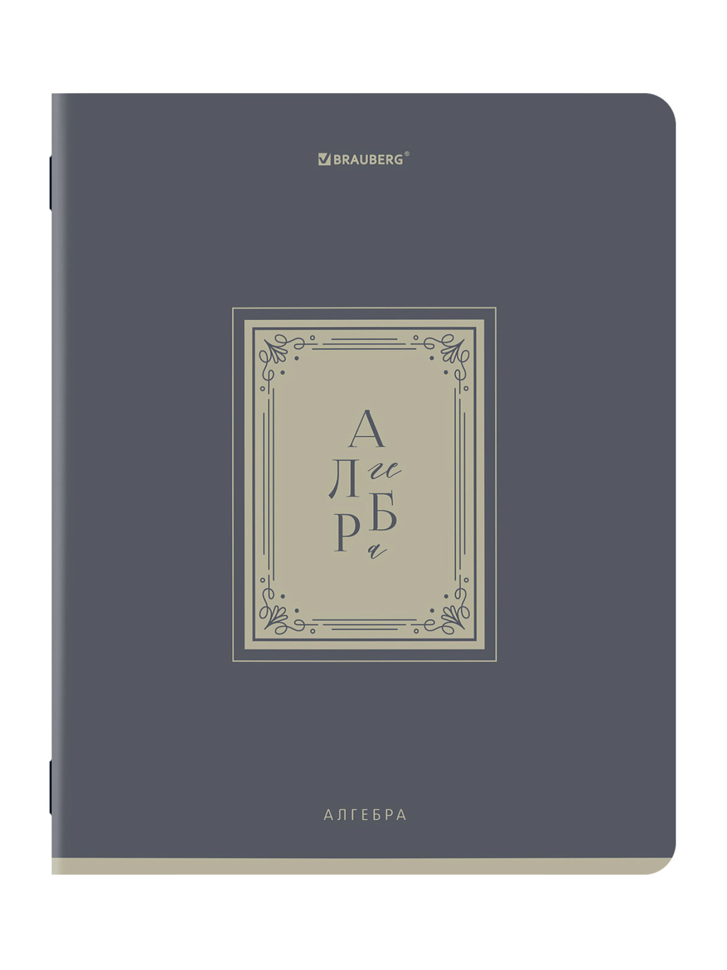 Тетрадь Brauberg 48 лист. 12 шт. - фото 7