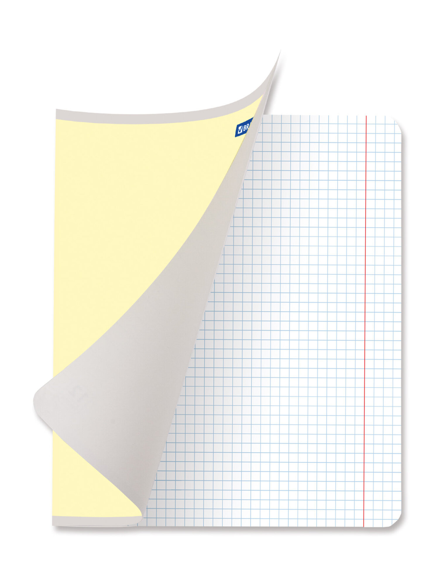 Тетрадь Brauberg клетка 12 лист. 20 шт. - фото 3