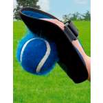 Активная игра Hape Игровой набор Поймай мяч