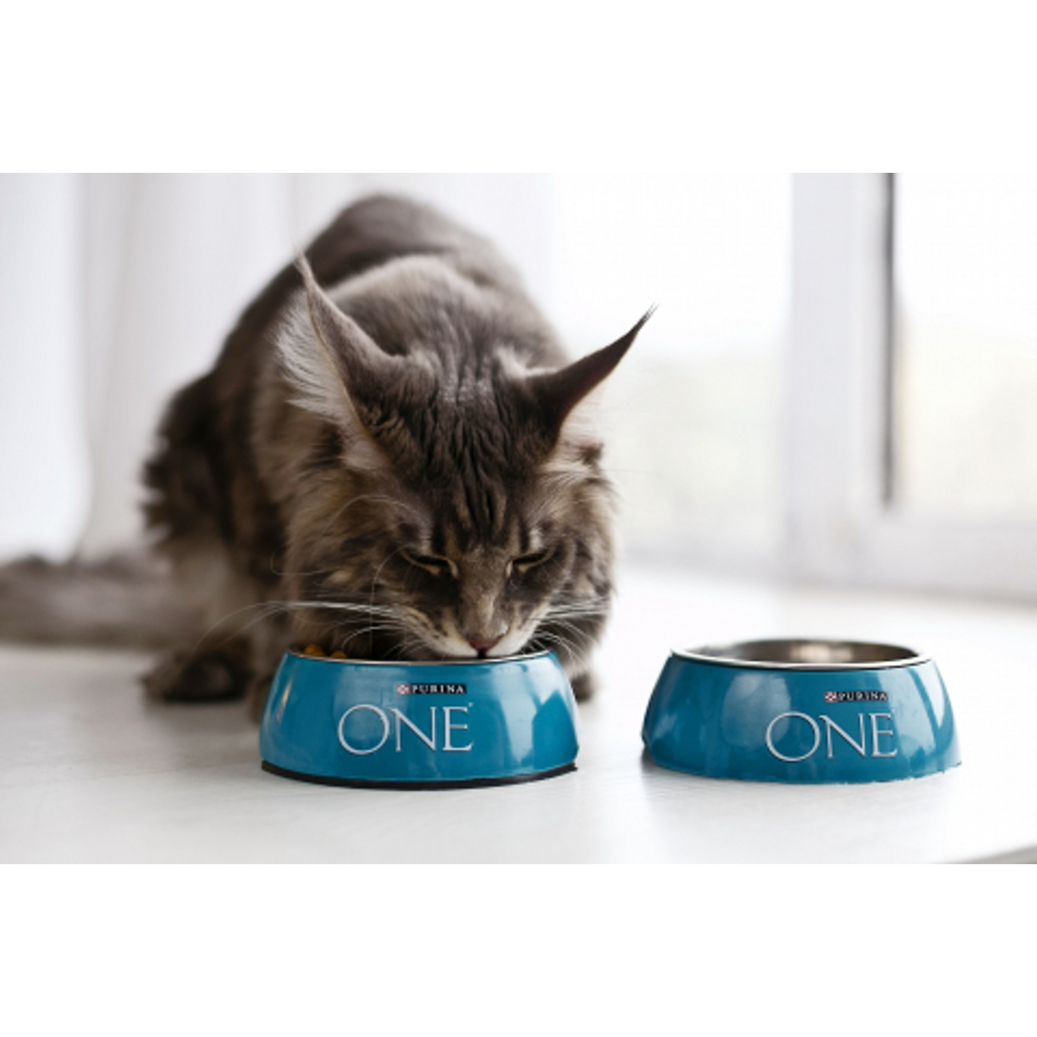 Корм для кошек Purina One домашних с индейкой 200г - фото 10