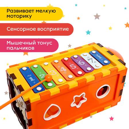 Игрушка Sima-Land сортер