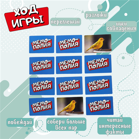 Настольная игра Attivio Мемополия Птицы