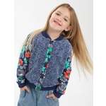 Бомбер АЙАС