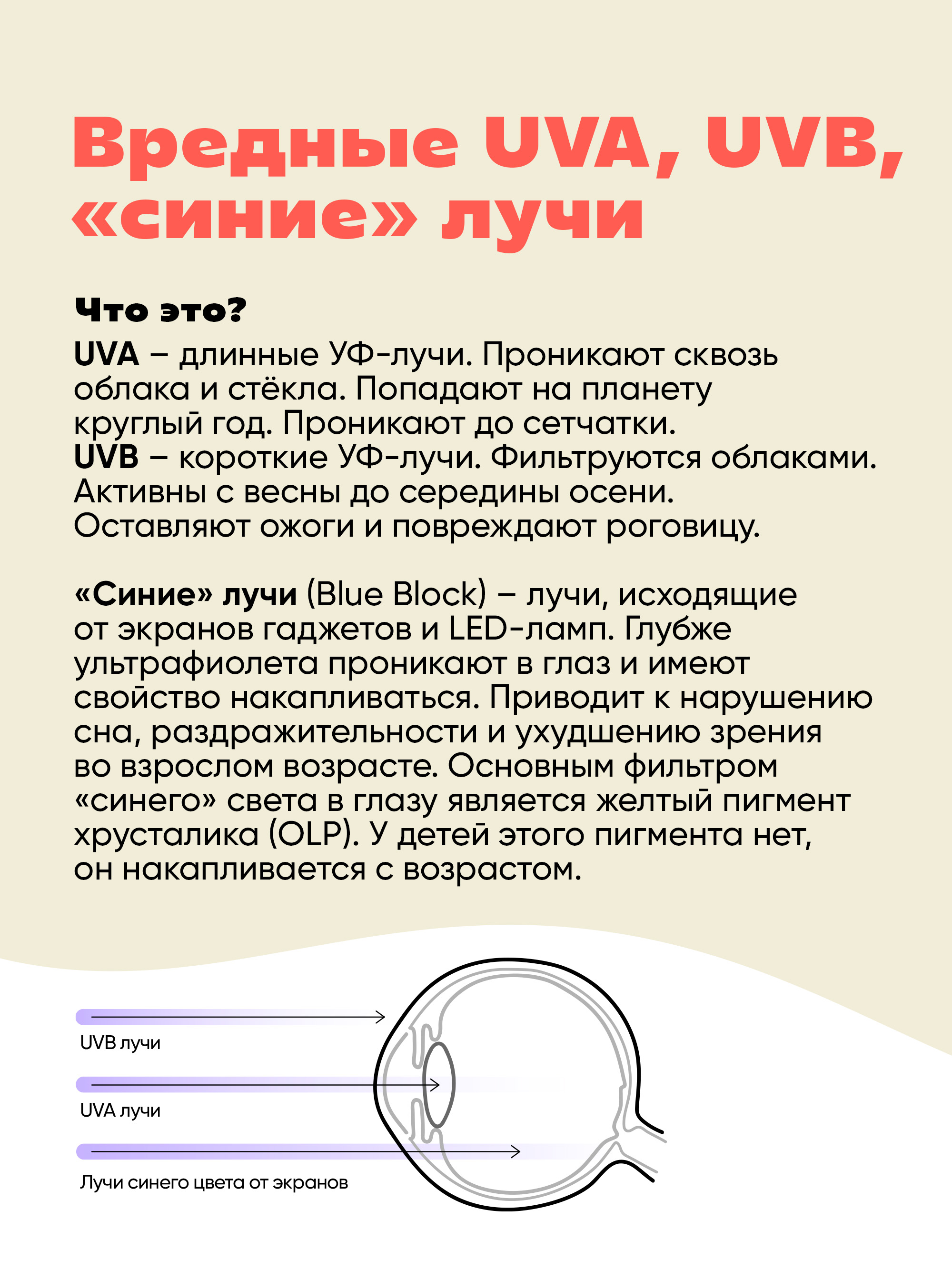 Очки солнцезащитные KiETLA WA3SUNLAVENDER - фото 7