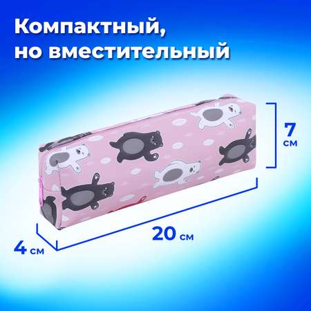 Пенал косметичка Пифагор Медведи