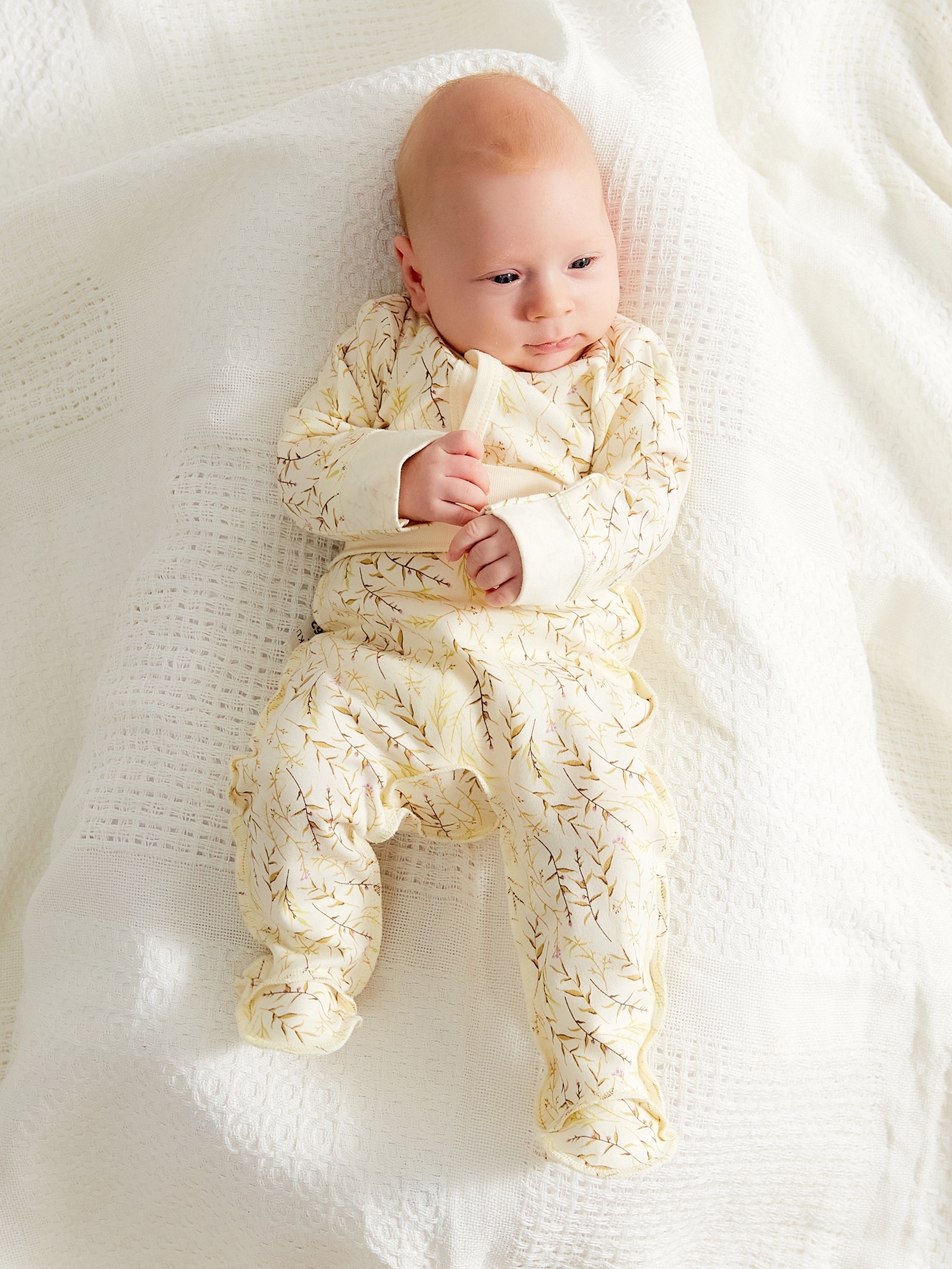 Боди Minaku 10516682 - фото 3