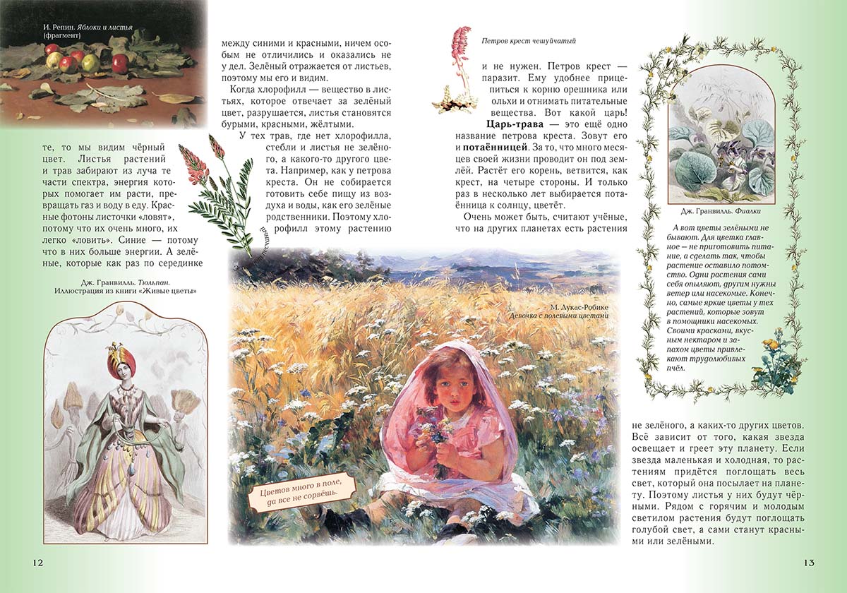 Книга Белый город Детский травник. - 2-е изд. - фото 3