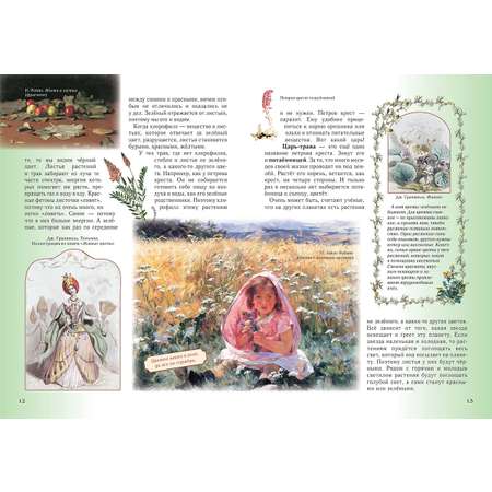 Книга Белый город Детский травник. - 2-е изд.