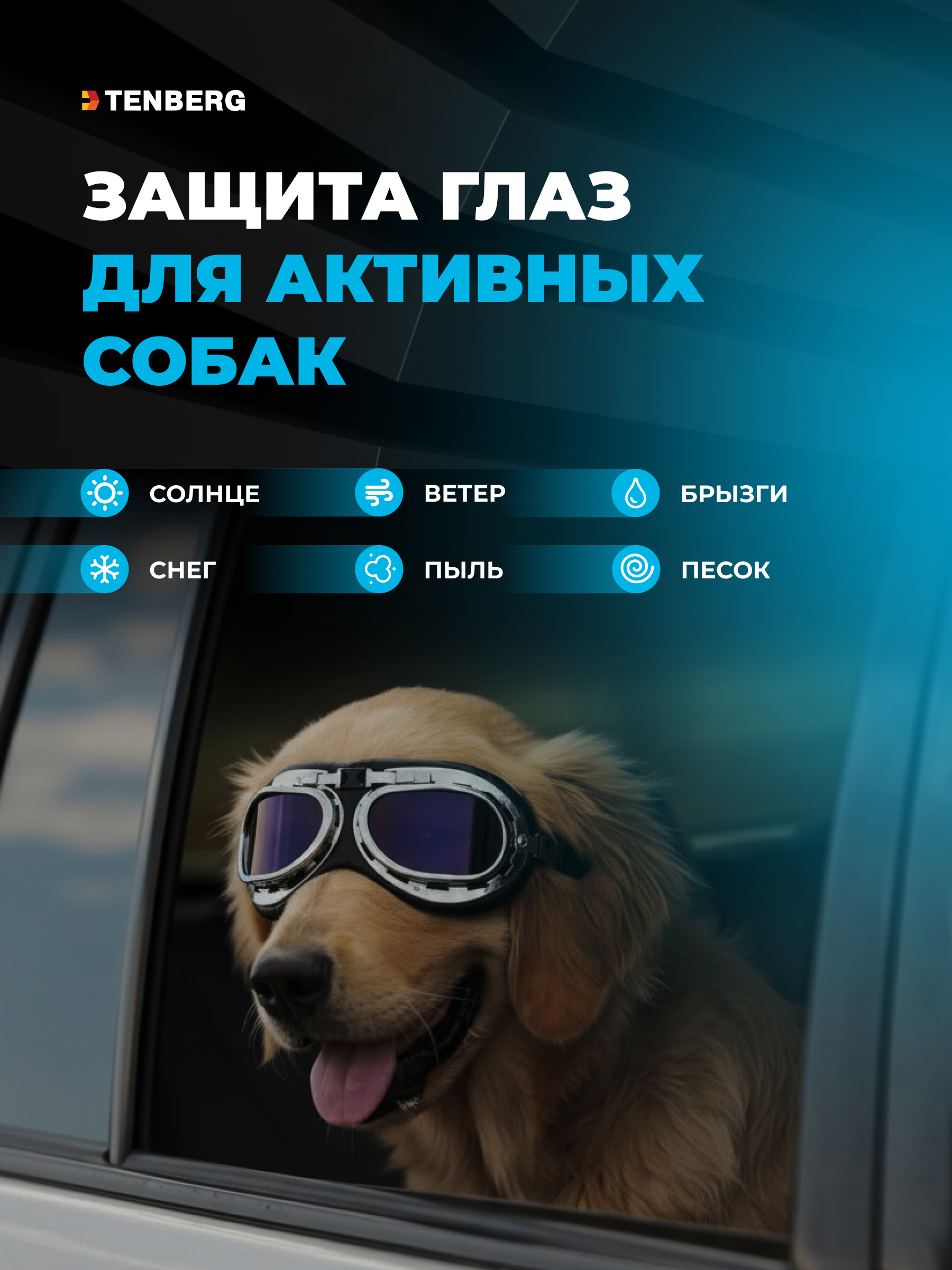 Солнцезащитные очки для собак TENBERG Barkley UV Silver - фото 7