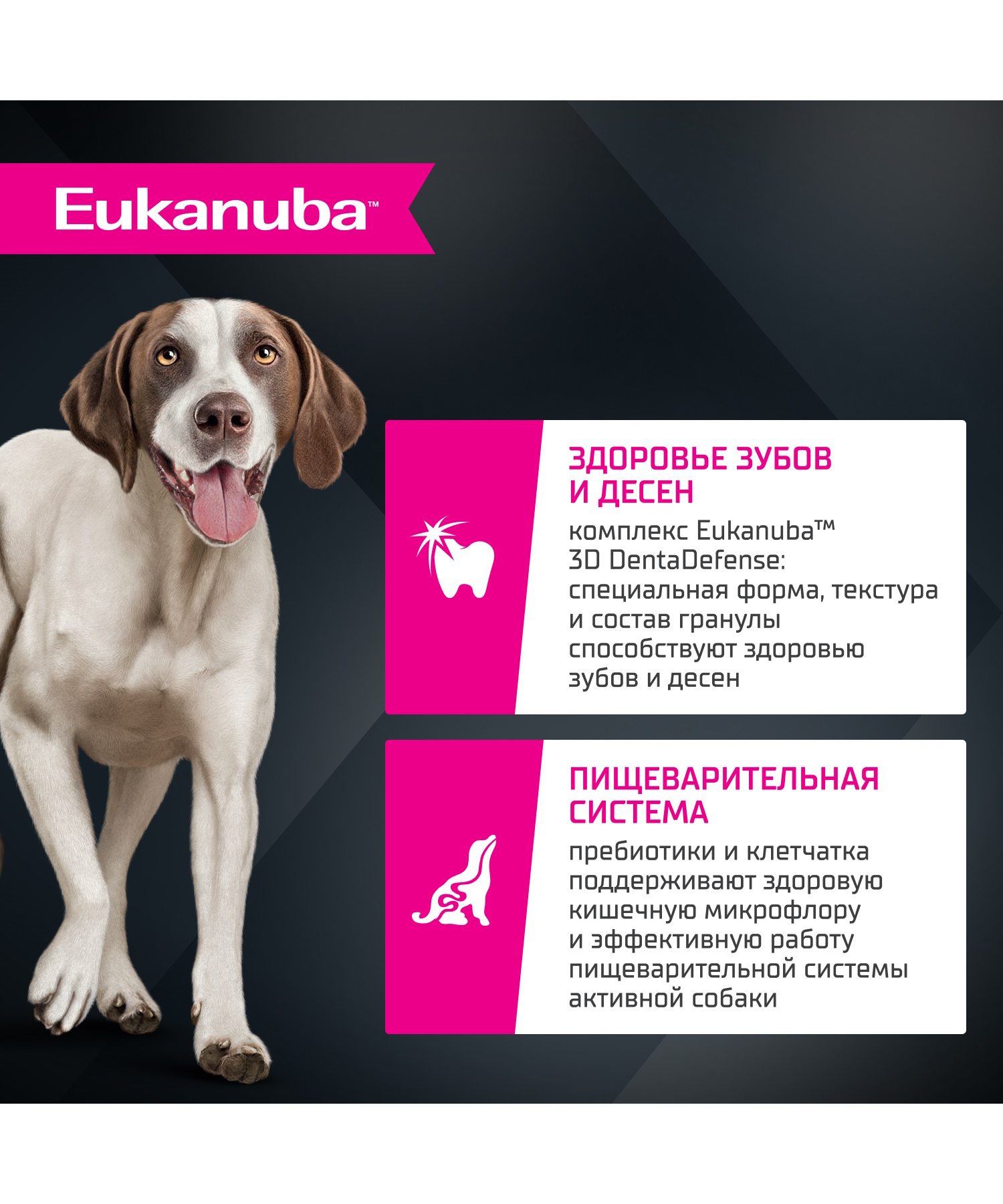Корм для собак сухой для взрослых собак Eukanuba крупных и очень крупных пород старше 1 года с ягненком 12кг - фото 3
