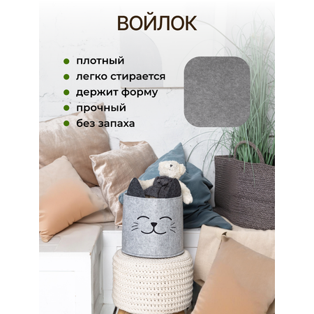 Органайзер для хранения Eva Котик 24х24х22 см 8 л